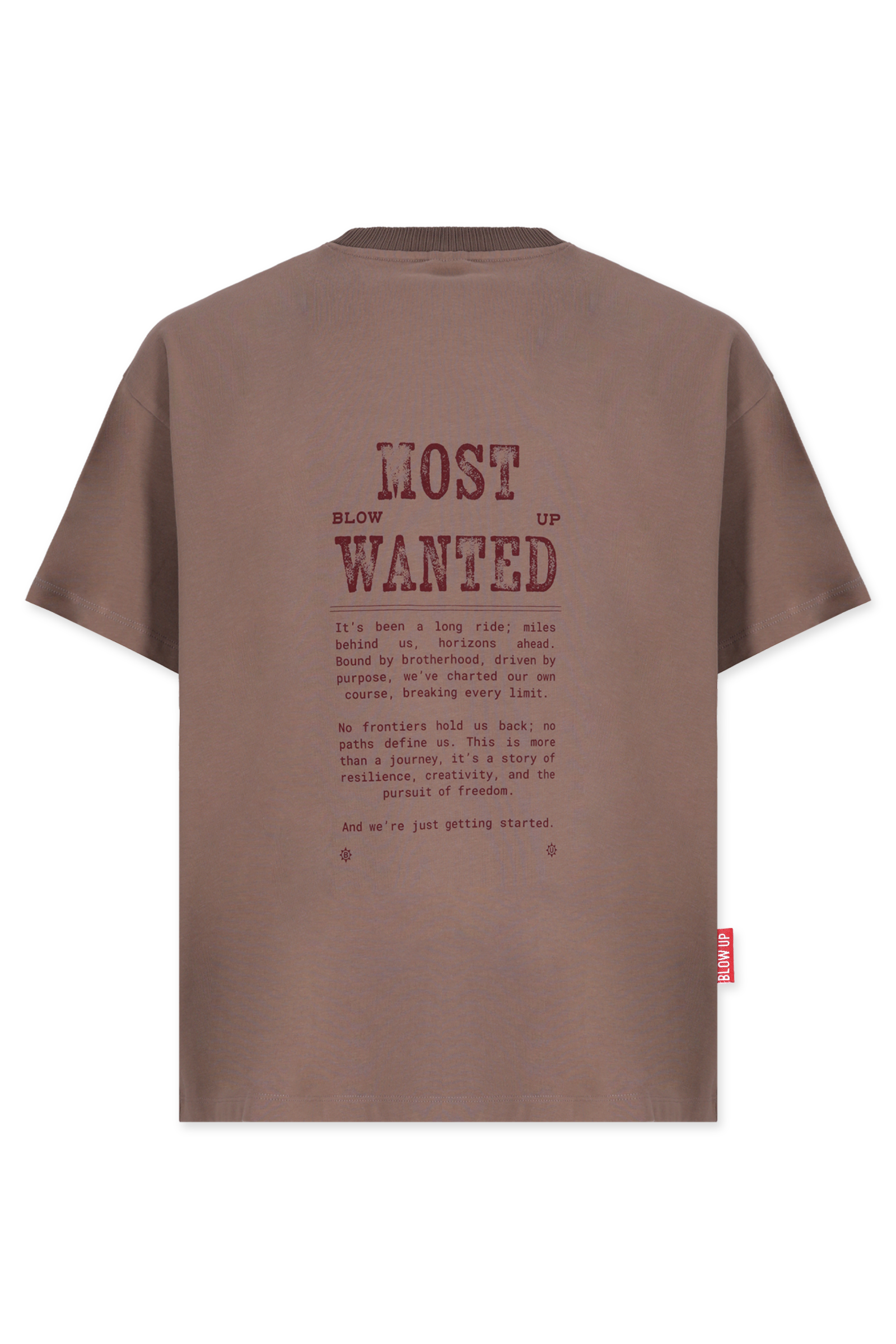 MOST WANTED REGULAR FIT CAMEL T-SHIRT