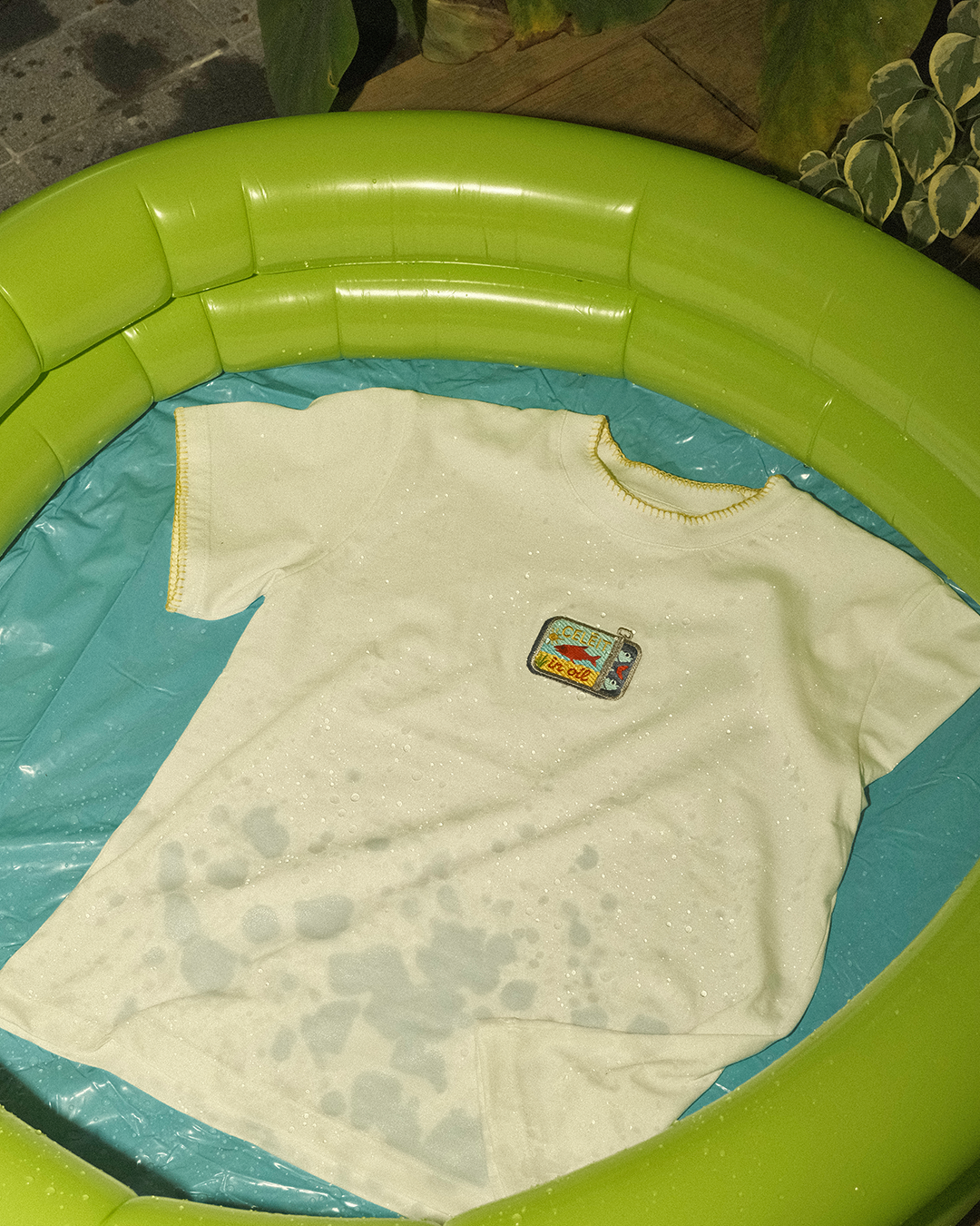 CELEIT SARDINE TEE YELLOW