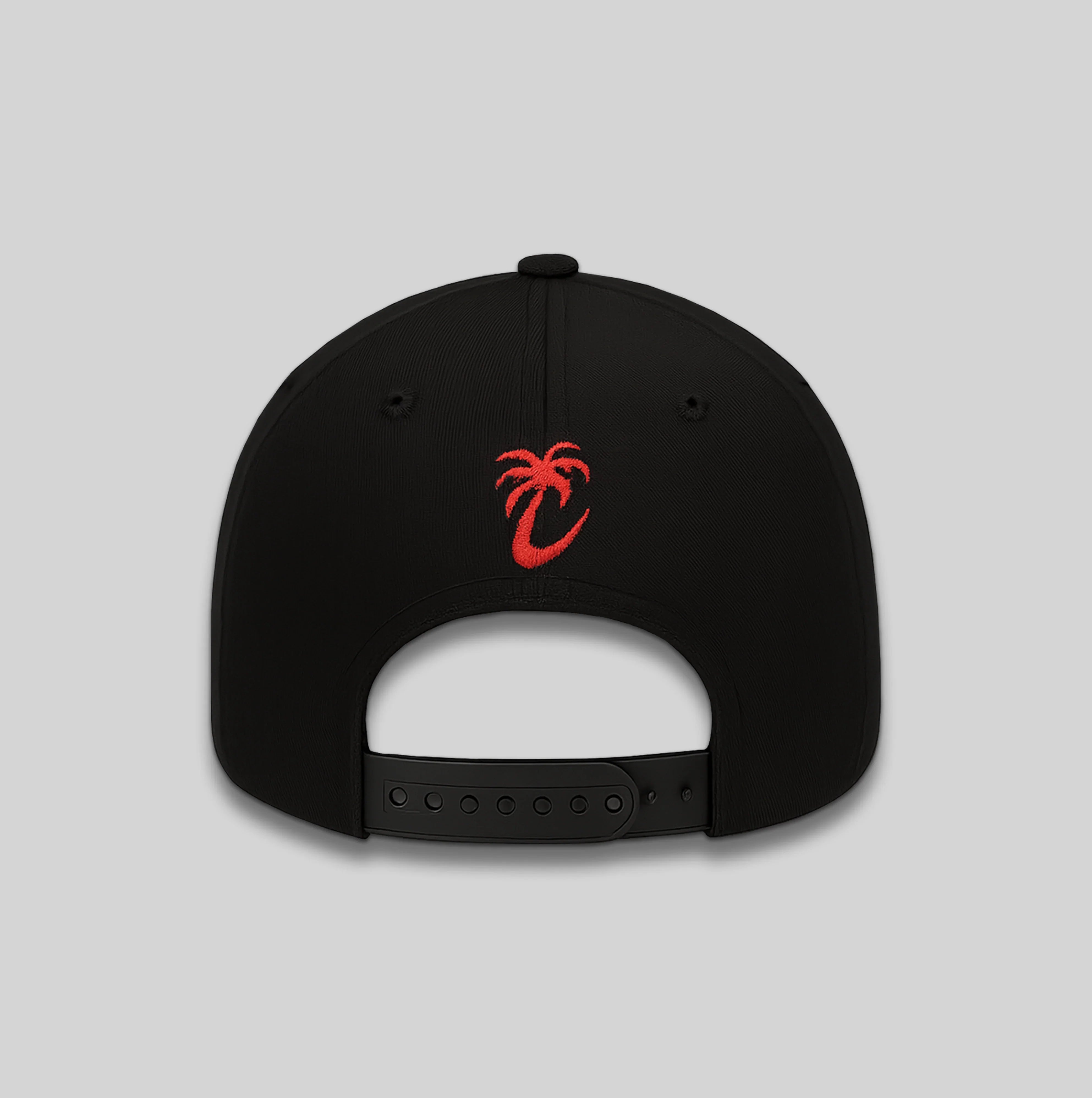 PEYESSNAPBACK - PRIVATE EYES SNAPBACK